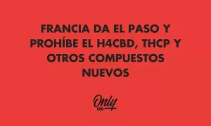 FRANCIA DA EL PASO Y PROHÍBE EL H4CBD