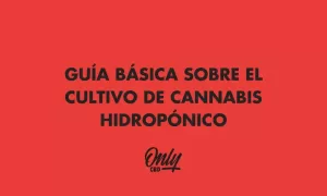 GUÍA BÁSICA SOBRE EL CULTIVO DE CANNABIS HIDROPÓNICO