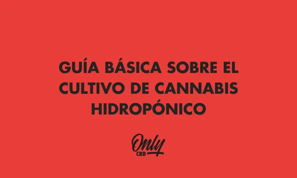 GUÍA BÁSICA SOBRE EL CULTIVO DE CANNABIS HIDROPÓNICO