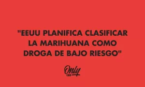 BLACK HAT Y SU NUEVA BEBIDA SABOR CANNABIS!