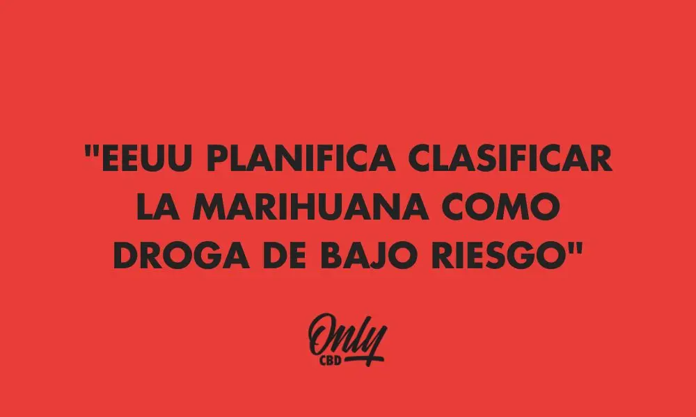 BLACK HAT Y SU NUEVA BEBIDA SABOR CANNABIS!