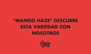 BLACK HAT Y SU NUEVA BEBIDA SABOR CANNABIS!