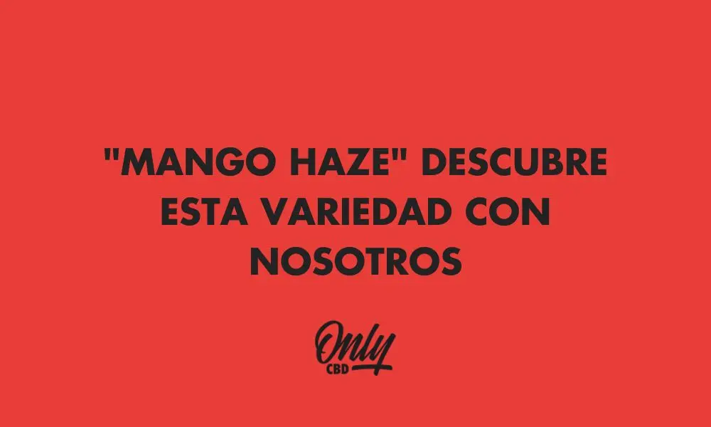 BLACK HAT Y SU NUEVA BEBIDA SABOR CANNABIS!