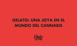 GELATO: UNA JOYA EN EL MUNDO DEL CANNABIS