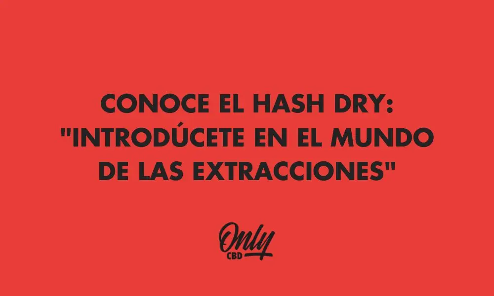 conoce más a cerca de hash dry