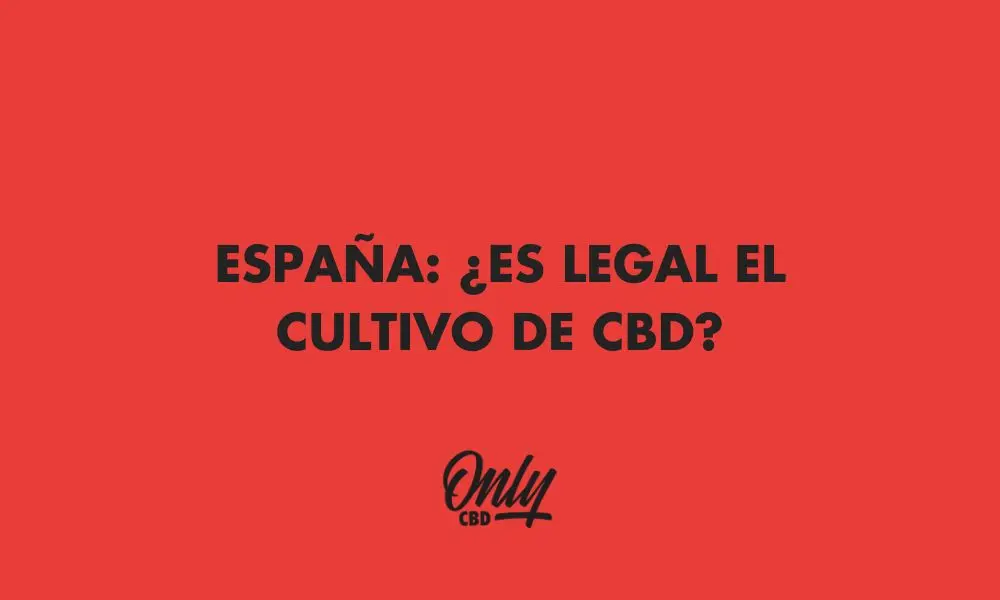 CULTIVO LEGAL DE CBD EN ESPAÑA