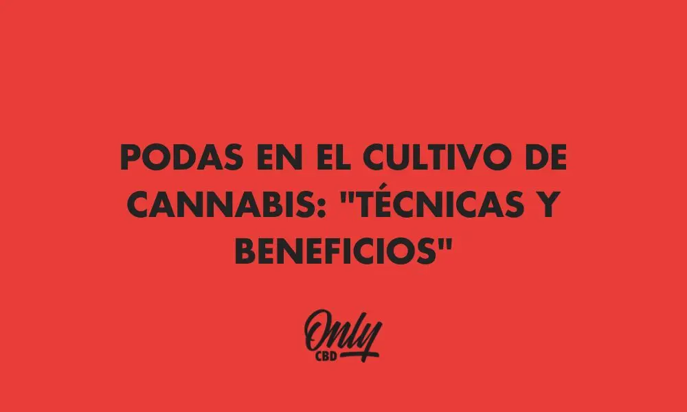 Beneficios para la Poda del cannabis