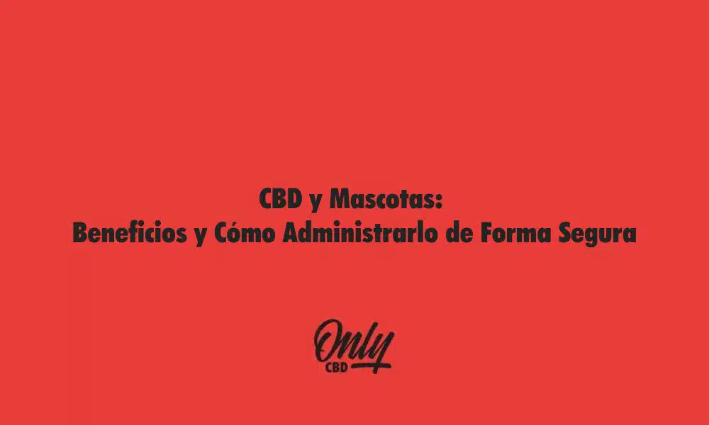CBD y Mascotas Beneficios y Cómo Administrarlo de Forma Segura