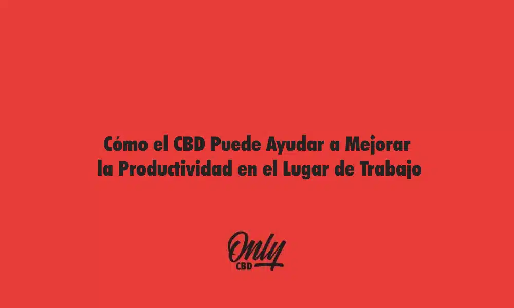 Cómo el CBD Puede Ayudar a Mejorar la Productividad en el Lugar de Trabajo