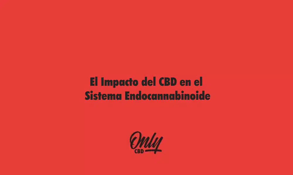 El Impacto del CBD en el Sistema Endocannabinoide