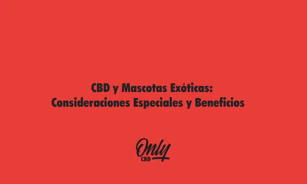 CBD y Mascotas Exóticas